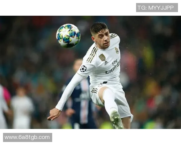 2008年英俊足球明星的魅力与成就回顾及其对足球界的影响