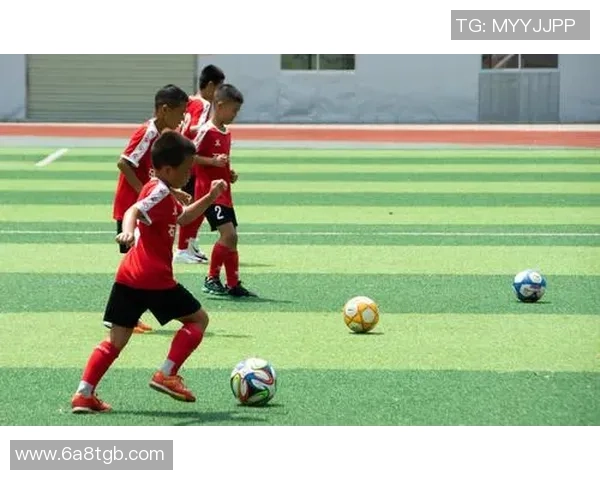 王敏独家分享足球心得与技巧助你提升球技的实用指南